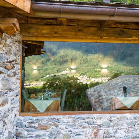 Agriturismo Ca Gianin Vervio エクステリア 写真